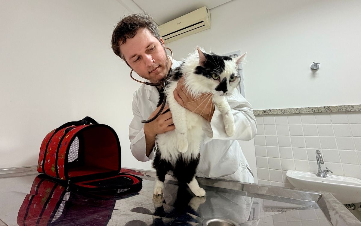 Prefeitura anuncia novo Hospital Veterinário Municipal com atendimento 24 horas em São José dos Campos