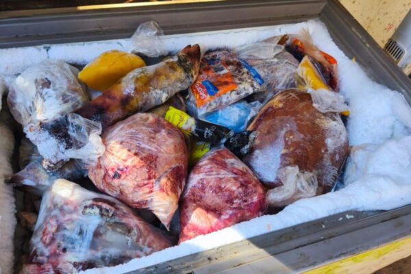 Cerca de 800 kg de carne imprópria são apreendidos em propriedade rural de Jacareí