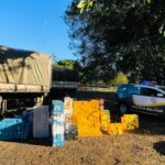 Polícia apreende 1,8 mil caixas de remédios para emagrecer escondidas em fundo falso de caminhão no interior de SP