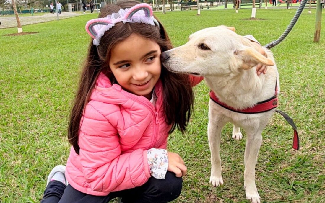 Feira de adoção de animais chega ao Aquarius neste sábado (29) com vacinação e microchipagem gratuitas