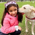 Feira de adoção de animais chega ao Aquarius neste sábado (29) com vacinação e microchipagem gratuitas
