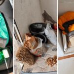 GCM apreende 120 kg de drogas em São José dos Campos; cinco pessoas são presas