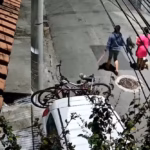Menina de 11 anos fica ferida ao tentar separar ataque de cão a filhote em São José dos Campos