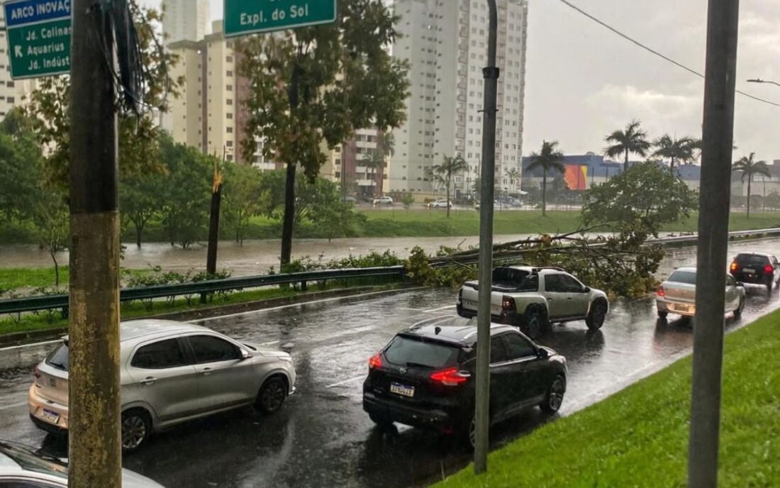 Temporal de 66 mm em meia hora derruba árvores, deixa bairros sem energia e trava o trânsito em São José dos Campos