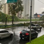 Temporal de 66 mm em meia hora derruba árvores, deixa bairros sem energia e trava o trânsito em São José dos Campos