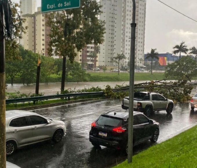 Temporal de 66 mm em meia hora derruba árvores, deixa bairros sem energia e trava o trânsito em São José dos Campos