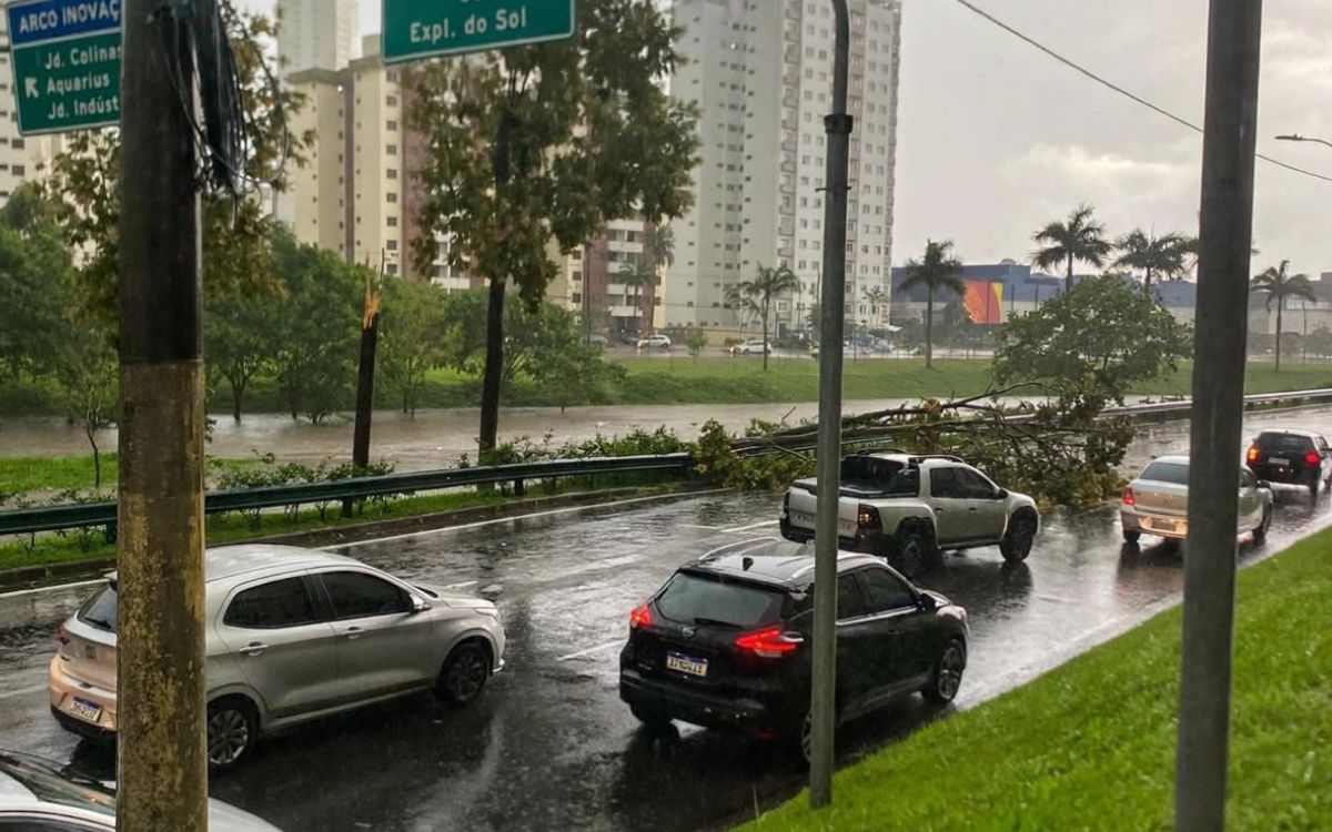 Temporal de 66 mm em meia hora derruba árvores, deixa bairros sem energia e trava o trânsito em São José dos Campos